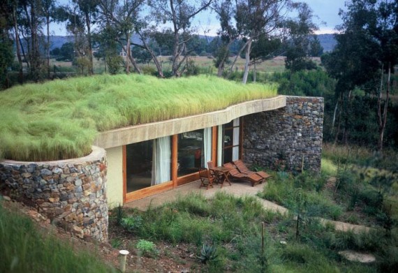 Qu’est-ce qu’une toiture végétalisée (ou green roof) ?